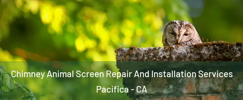  Chimney Animal Screen Repair And Installation Services Pacifica - CA