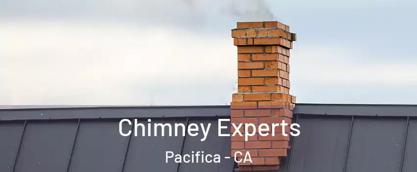 Chimney Experts Pacifica - CA
