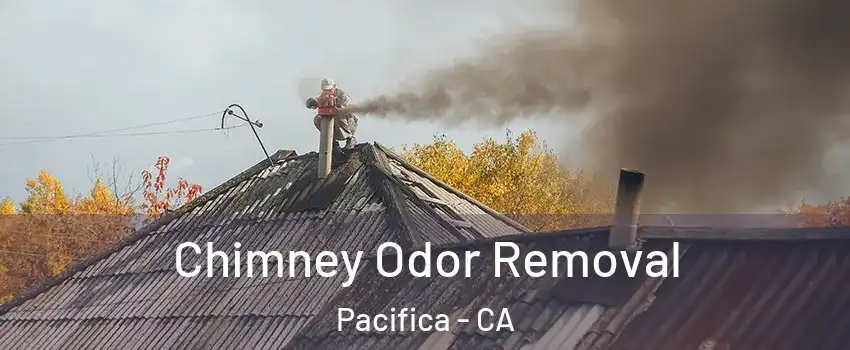  Chimney Odor Removal Pacifica - CA