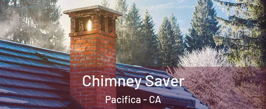  Chimney Saver Pacifica - CA