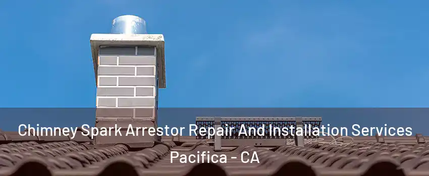  Chimney Spark Arrestor Repair And Installation Services Pacifica - CA