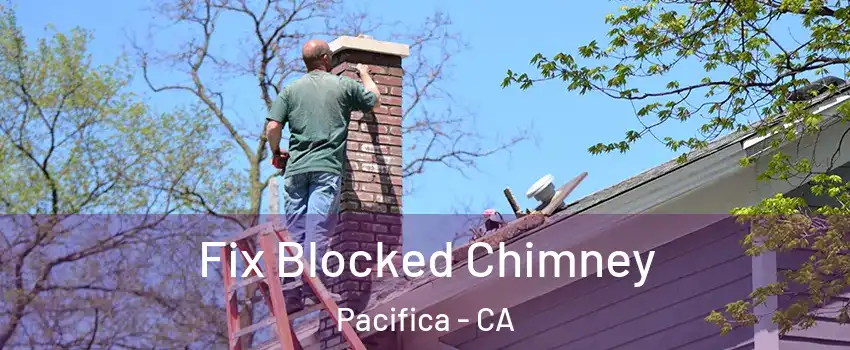  Fix Blocked Chimney Pacifica - CA