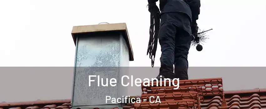  Flue Cleaning Pacifica - CA