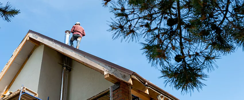 Birds Removal Contractors from Chimney in Pacifica, CA