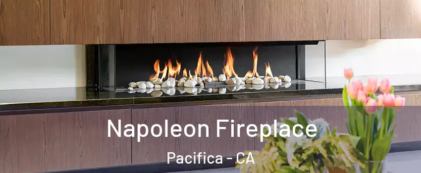  Napoleon Fireplace Pacifica - CA